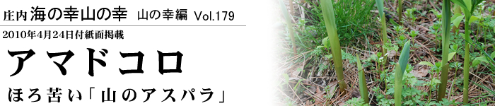 「アマドコロ」ほろ苦い「山のアスパラ」