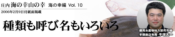 カレイ１ 種類も呼び名もいろいろ 庄内 海の幸10 荘内日報社