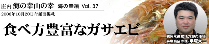 食べ方豊富なガサエビ