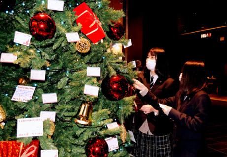 クリスマスツリーにカードを飾る生徒たち