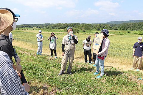 月山高原牧場で庄内産小麦を見学、中央左は石井さん、同右は中坪さん
