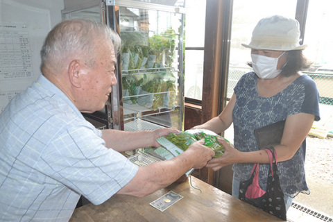 「松柏の枝豆」の直売がスタート＝12日午前、鶴岡市・松柏会館
