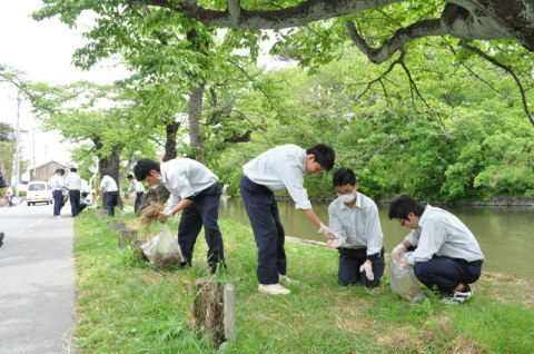 鶴岡公園の堀端沿いで雑草を取り除く鶴工生たち
