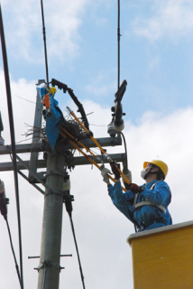 カラスの巣を撤去する東北電力酒田営業所の作業員たち＝19日、酒田市藤塚地内