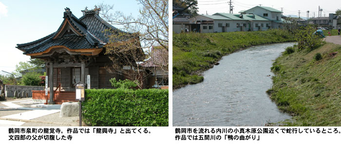 鶴岡市泉町の龍覚寺と、鴨の曲がりの写真