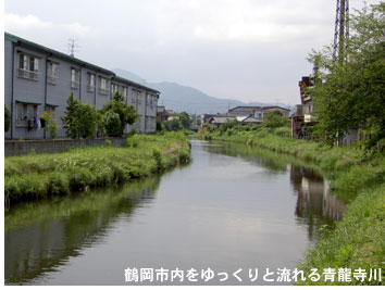 鶴岡市内をゆっくりと流れる青龍寺川
